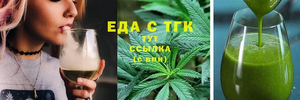 мдпв Ельня