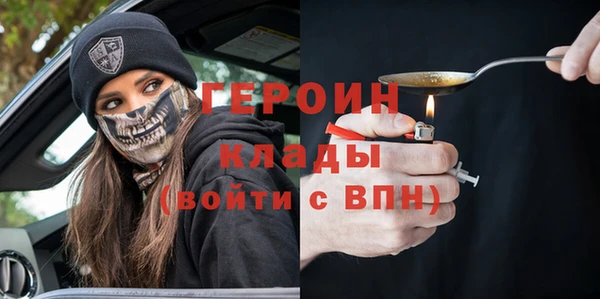 мдпв Ельня