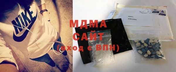 мдпв Ельня