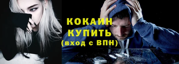 мдпв Ельня