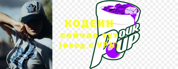 винт Елизово