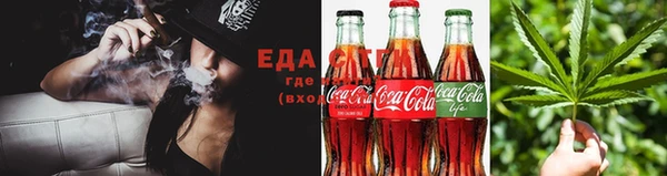 мдпв Ельня