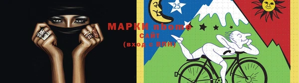 мдпв Ельня