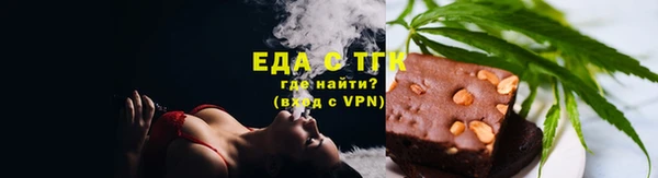 мдпв Ельня