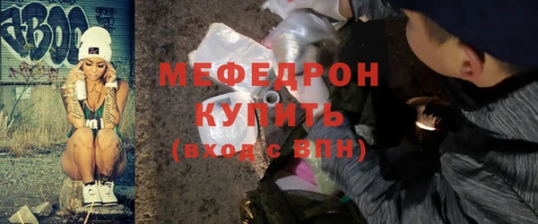 мдпв Ельня