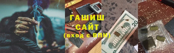 мдпв Ельня