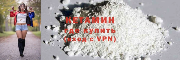 мдпв Ельня
