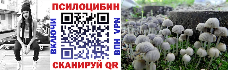 купить наркотики сайты  блэк спрут ONION  Псилоцибиновые грибы прущие грибы  Ефремов 