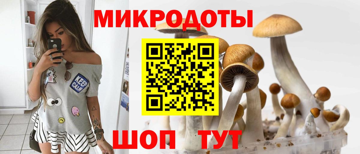 Псилоцибиновые грибы GOLDEN TEACHER Ефремов