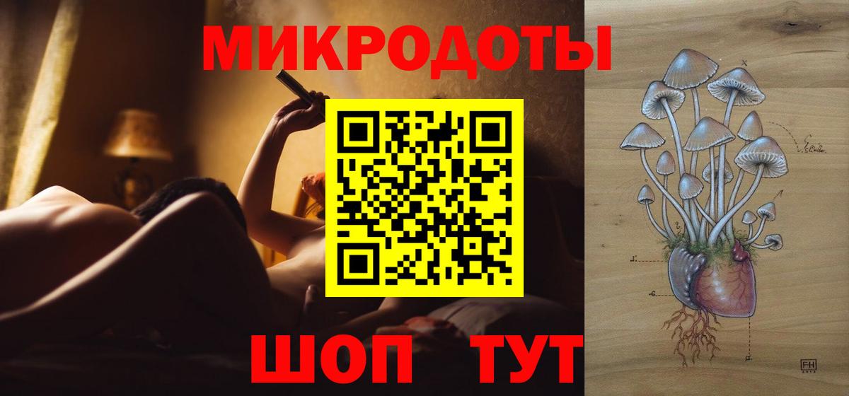 Псилоцибиновые грибы GOLDEN TEACHER  Вход с VPN  наркошоп  Ефремов 